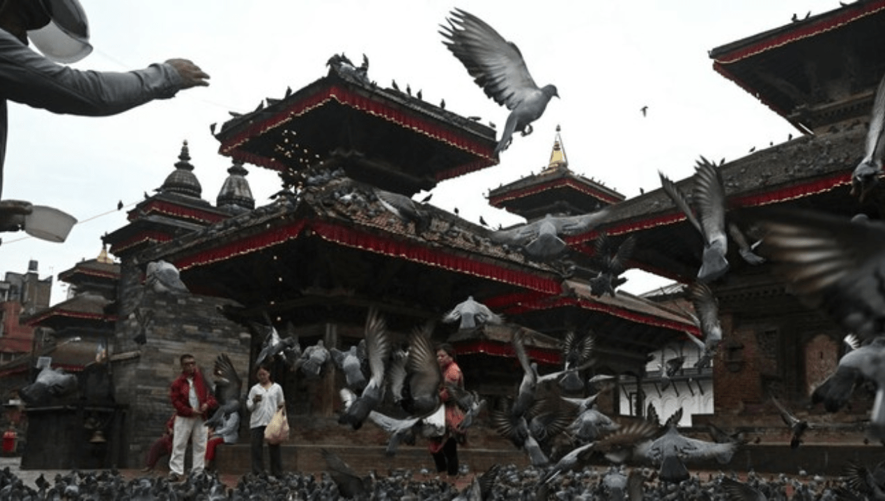 Nepal Komunis Hedonis