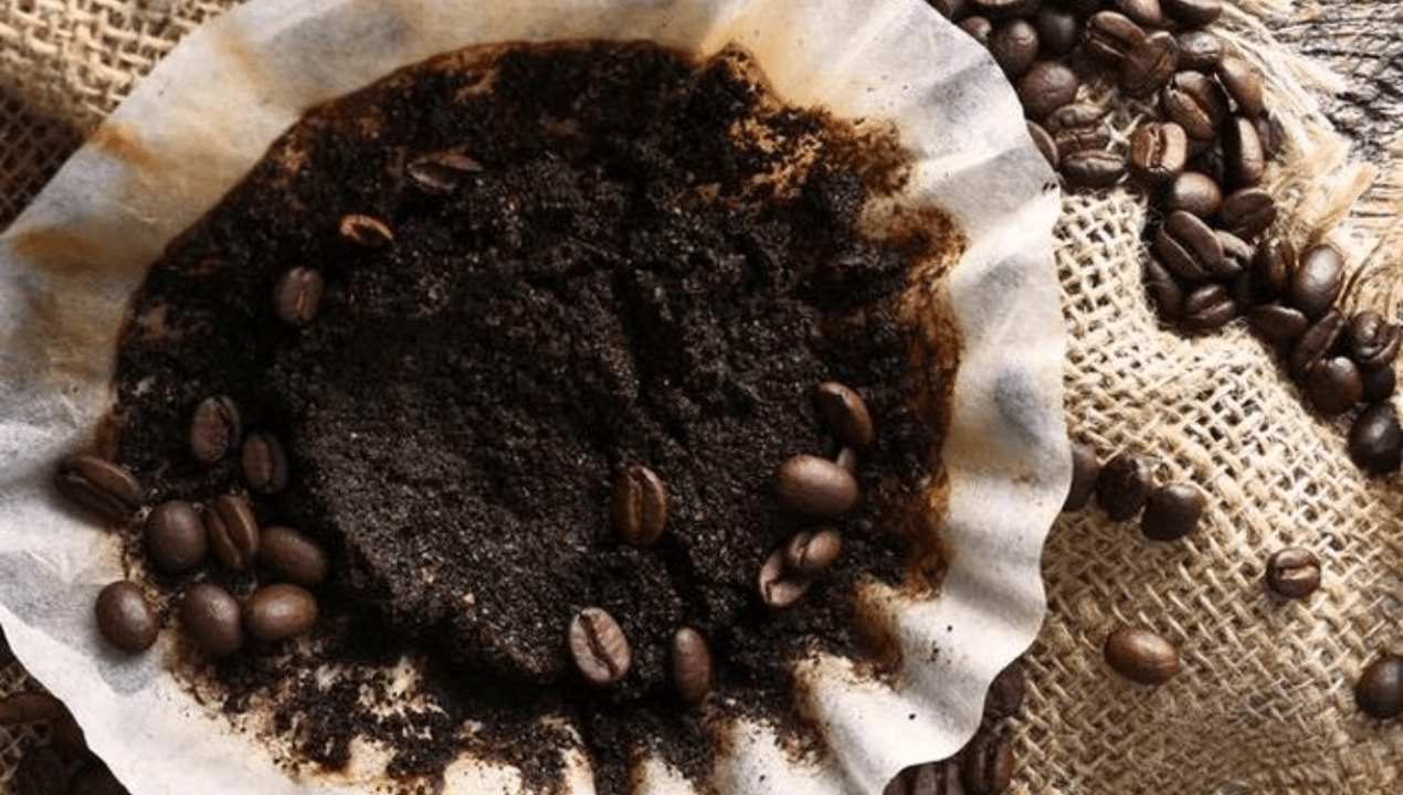 Bahaya Buang Ampas Kopi ke Saluran Air