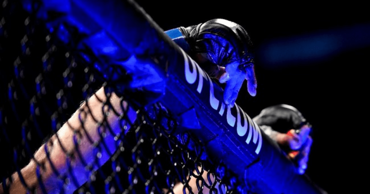 Keributan UFC 322: Dillon Danis vs Tim Khabib Pecah di Madison Square Garden