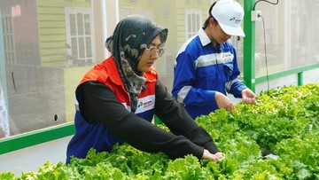 Inovasi Urban Farming di Kampung Atas Air